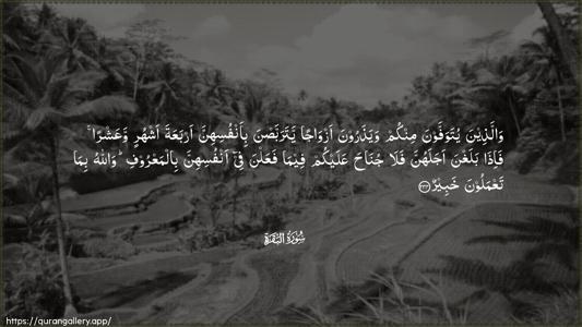 Al-Baqara Ayah 234 - Arabic (Wide) wallpaper