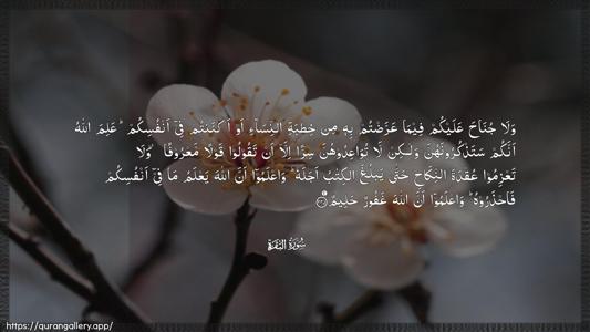 Al-Baqara Ayah 235 - Arabic (Wide) wallpaper