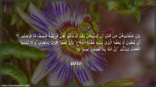 Al-Baqara Ayah 237 - Arabic (Wide) wallpaper
