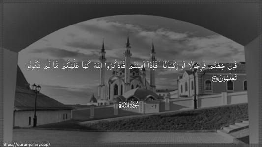 Al-Baqara Ayah 239 - Arabic (Wide) wallpaper