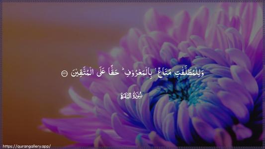 Al-Baqara Ayah 241 - Arabic (Wide) wallpaper