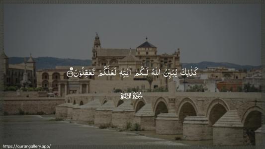 Al-Baqara Ayah 242 - Arabic (Wide) wallpaper