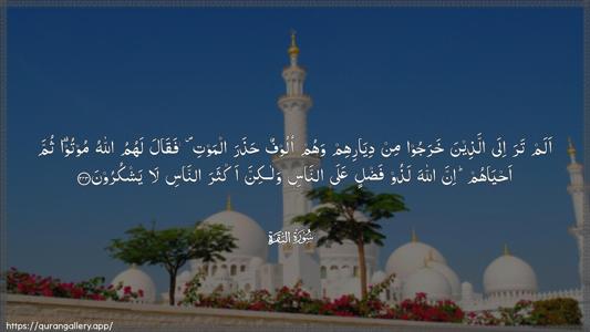 Al-Baqara Ayah 243 - Arabic (Wide) wallpaper
