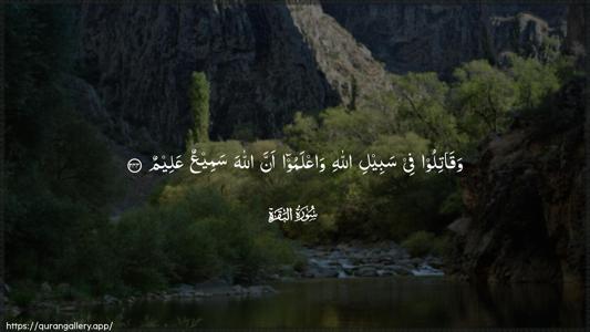 Al-Baqara Ayah 244 - Arabic (Wide) wallpaper