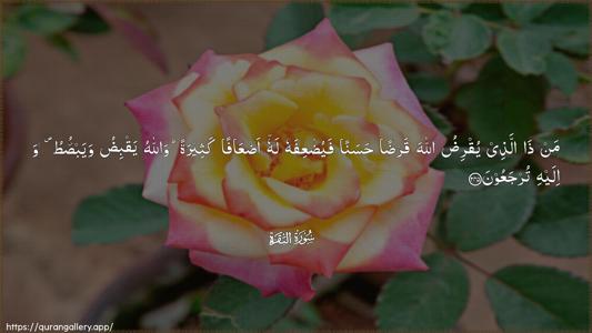 Al-Baqara Ayah 245 - Arabic (Wide) wallpaper
