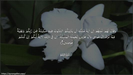 Al-Baqara Ayah 248 - Arabic (Wide) wallpaper