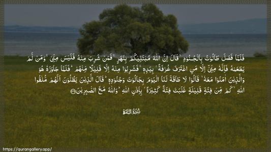 Al-Baqara Ayah 249 - Arabic (Wide) wallpaper
