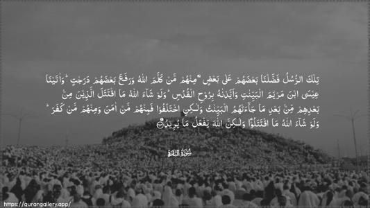Al-Baqara Ayah 253 - Arabic (Wide) wallpaper