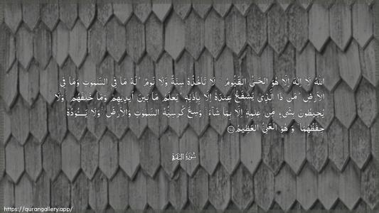Al-Baqara Ayah 255 - Arabic (Wide) wallpaper