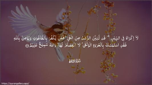 Al-Baqara Ayah 256 - Arabic (Wide) wallpaper