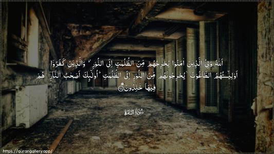 Al-Baqara Ayah 257 - Arabic (Wide) wallpaper
