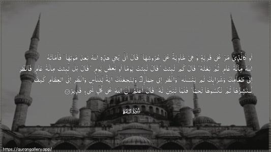 Al-Baqara Ayah 259 - Arabic (Wide) wallpaper