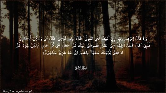 Al-Baqara Ayah 260 - Arabic (Wide) wallpaper