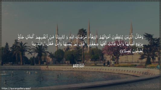 Al-Baqara Ayah 265 - Arabic (Wide) wallpaper