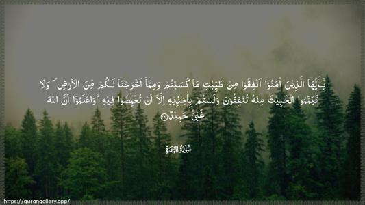 Al-Baqara Ayah 267 - Arabic (Wide) wallpaper