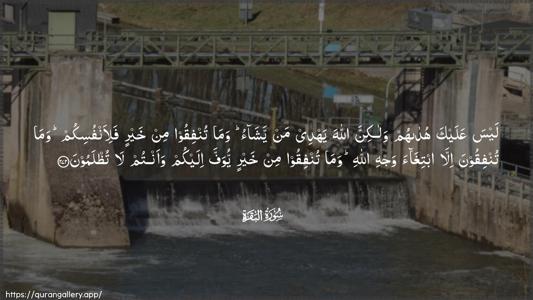 Al-Baqara Ayah 272 - Arabic (Wide) wallpaper