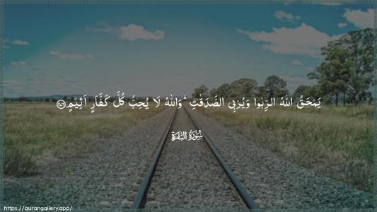 Al-Baqara Ayah 276 - Arabic (Wide) wallpaper