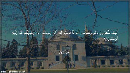 Al-Baqara Ayah 28 - Arabic (Wide) wallpaper