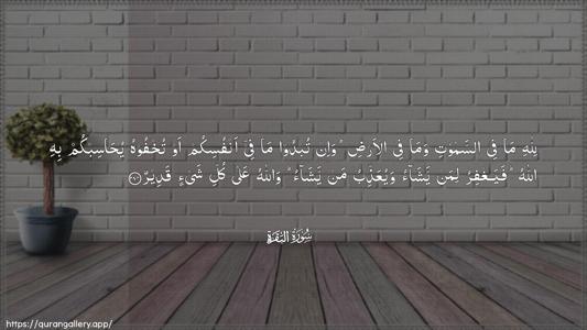 Al-Baqara Ayah 284 - Arabic (Wide) wallpaper