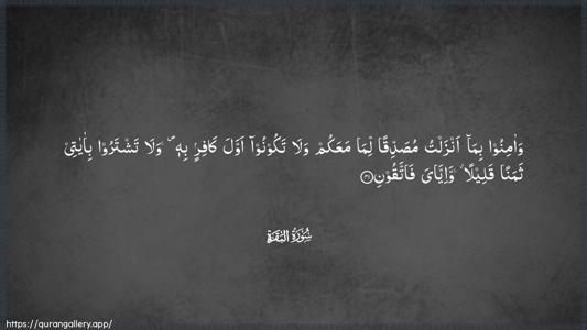 Al-Baqara Ayah 41 - Arabic (Wide) wallpaper
