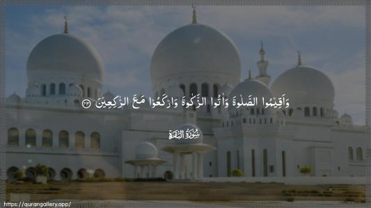 Al-Baqara Ayah 43 - Arabic (Wide) wallpaper