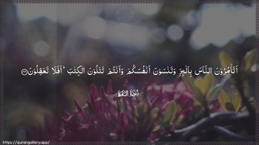 Al-Baqara Ayah 44 - Arabic (Wide) wallpaper