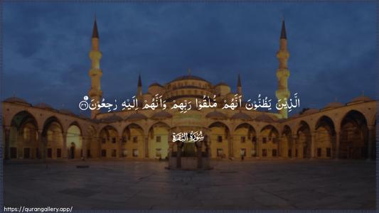 Al-Baqara Ayah 46 - Arabic (Wide) wallpaper