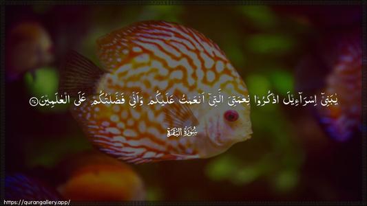 Al-Baqara Ayah 47 - Arabic (Wide) wallpaper