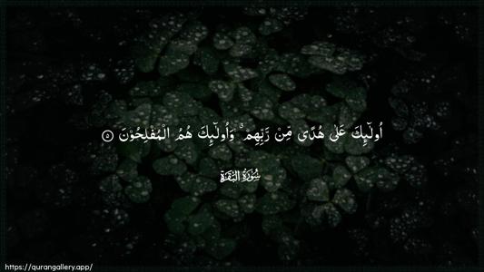 Al-Baqara Ayah 5 - Arabic (Wide) wallpaper