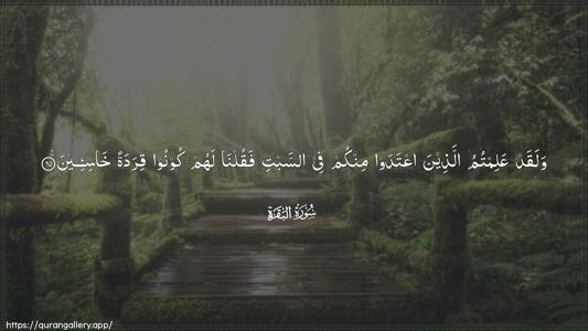 Al-Baqara Ayah 65 - Arabic (Wide) wallpaper