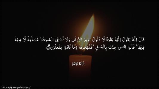 Al-Baqara Ayah 71 - Arabic (Wide) wallpaper