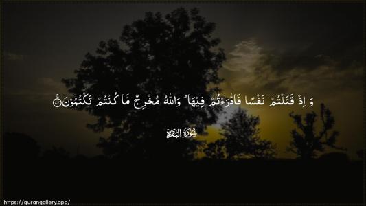 Al-Baqara Ayah 72 - Arabic (Wide) wallpaper