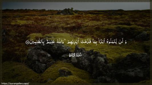 Al-Baqara Ayah 95 - Arabic (Wide) wallpaper