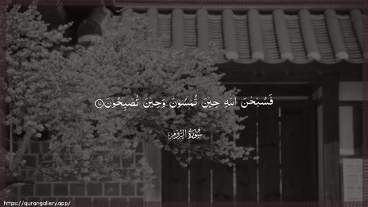 Ar-Room Ayah 17 - Arabic (Wide) wallpaper