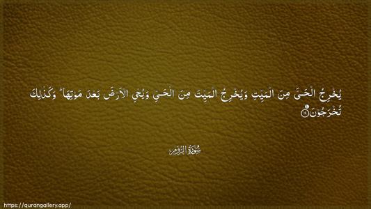 Ar-Room Ayah 19 - Arabic (Wide) wallpaper