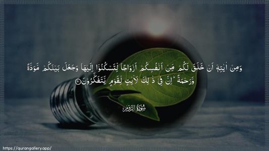 Ar-Room Ayah 21 - Arabic (Wide) wallpaper