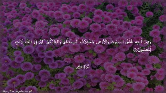 Ar-Room Ayah 22 - Arabic (Wide) wallpaper