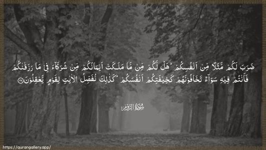 Ar-Room Ayah 28 - Arabic (Wide) wallpaper