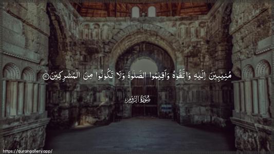 Ar-Room Ayah 31 - Arabic (Wide) wallpaper