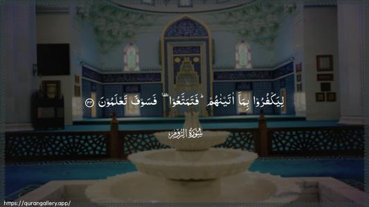 Ar-Room Ayah 34 - Arabic (Wide) wallpaper