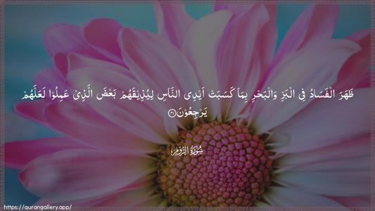 Ar-Room Ayah 41 - Arabic (Wide) wallpaper