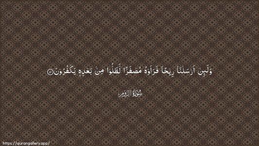 Ar-Room Ayah 51 - Arabic (Wide) wallpaper