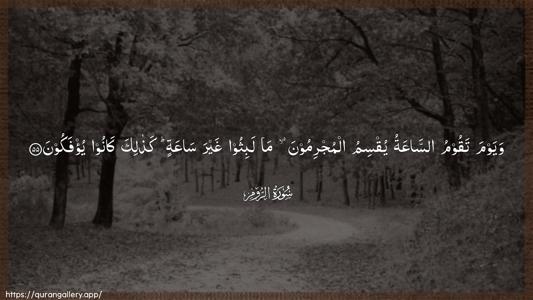 Ar-Room Ayah 55 - Arabic (Wide) wallpaper