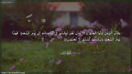 Ar-Room Ayah 56 - Arabic (Wide) wallpaper