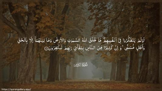 Ar-Room Ayah 8 - Arabic (Wide) wallpaper