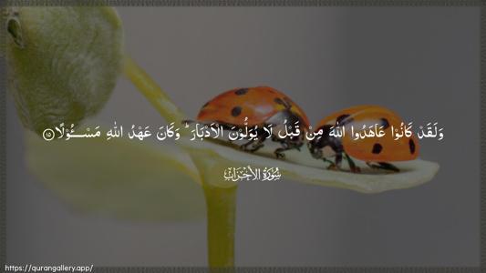 Al-Ahzaab Ayah 15 - Arabic (Wide) wallpaper