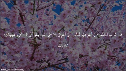 Saba Ayah 47 - Arabic (Wide) wallpaper