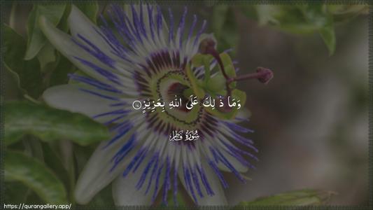 Faatir Ayah 17 - Arabic (Wide) wallpaper