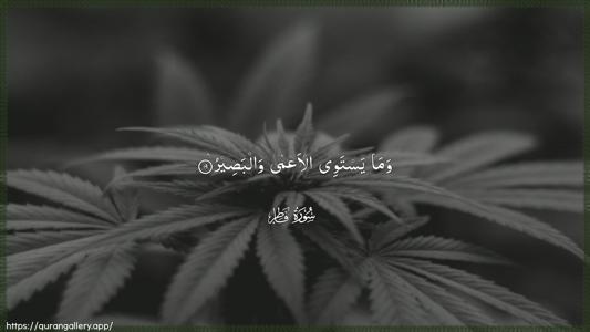 Faatir Ayah 19 - Arabic (Wide) wallpaper