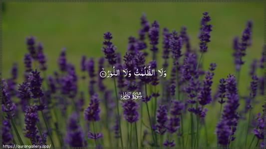 Faatir Ayah 20 - Arabic (Wide) wallpaper
